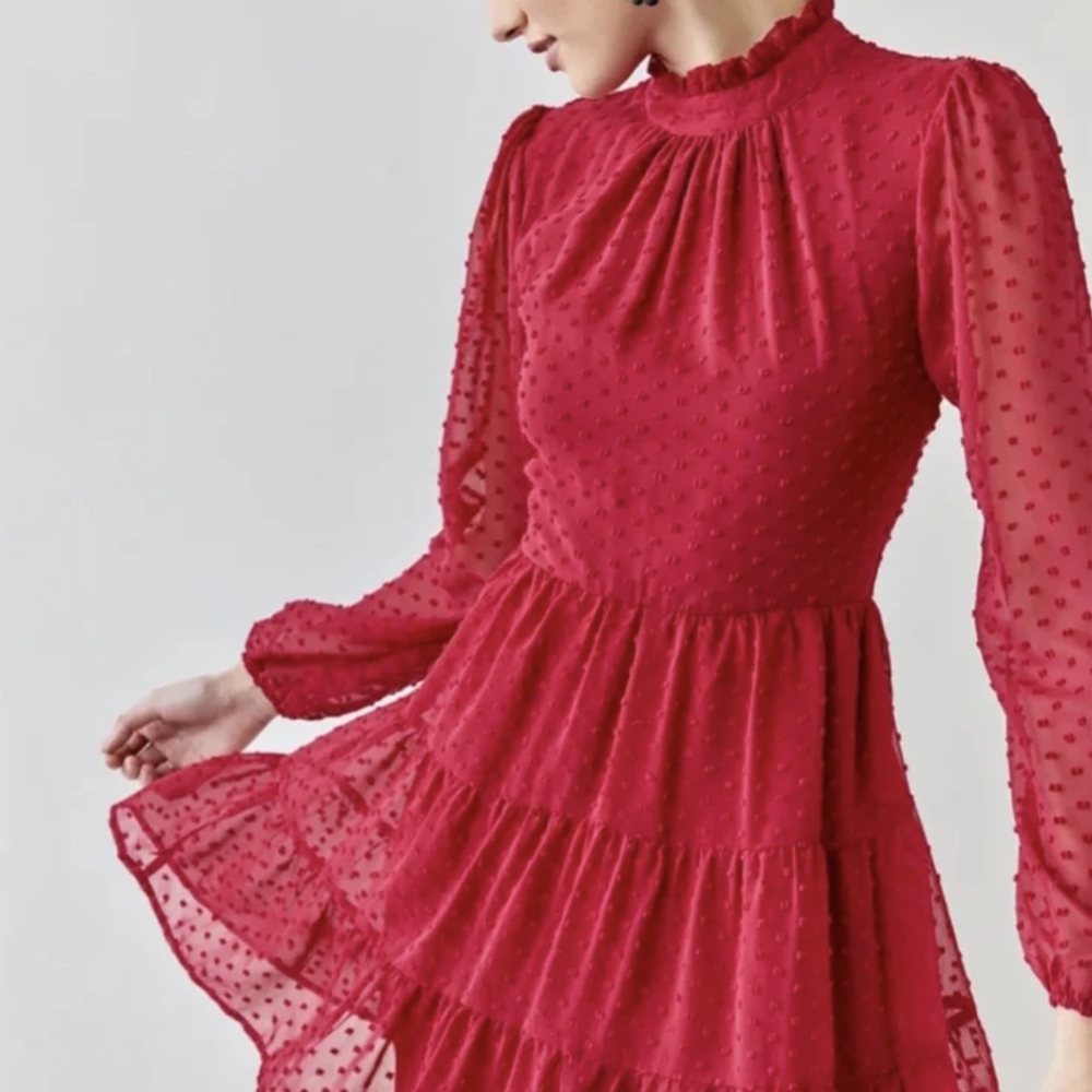 Trixxi Sheer Long Sleeve Dress